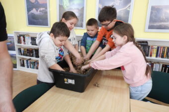 Warsztaty ekologiczne dla dzieci.