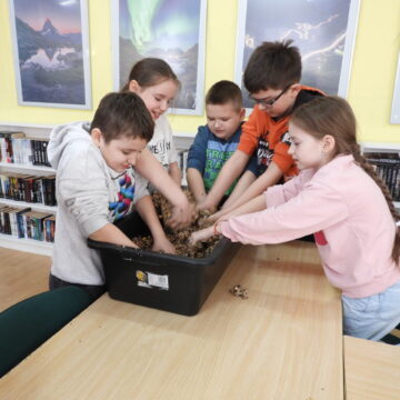 Warsztaty ekologiczne dla dzieci.